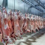 Customs Clearance for Perishable Goods: Ensuring Freshness and Speed