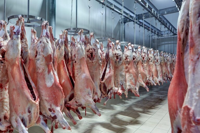 Customs Clearance for Perishable Goods: Ensuring Freshness and Speed
